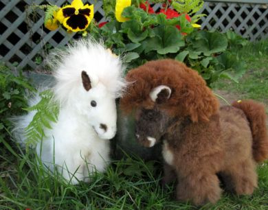 Alpaca Ponies