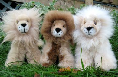 Alpaca Sitting Lions