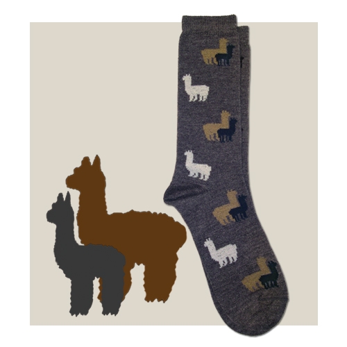 Alpaca Herd Sock