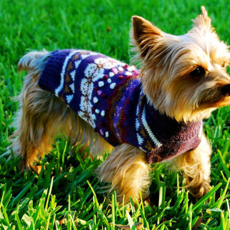 Anden Dog Sweater